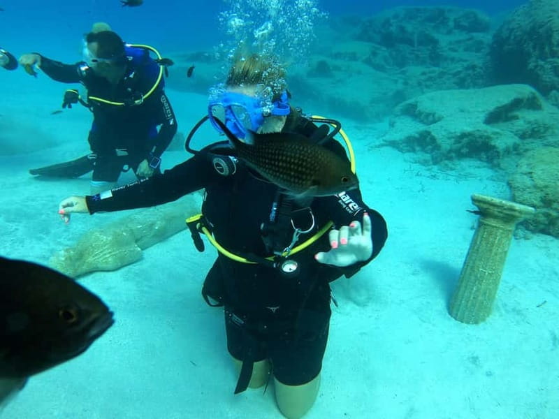 Ayia Napa: Beginners Discover Scuba Diving Experience - Turtle Bay and Green Bay offer a different view