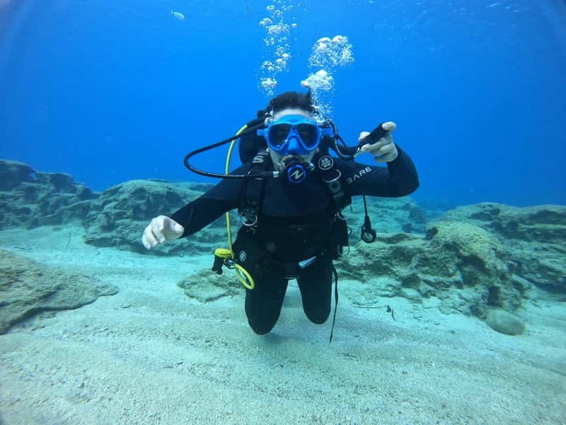 Ayia Napa: Beginners Discover Scuba Diving Experience - Practical preparation for the morning or afternoon