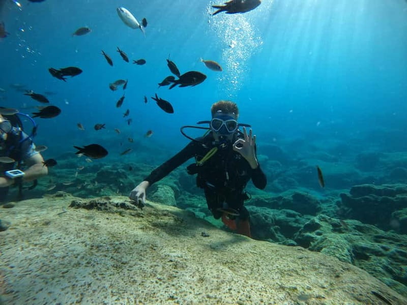 Ayia Napa: Beginners Discover Scuba Diving Experience - Why the two-session format helps beginners