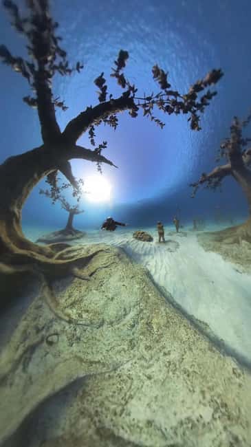 Ayia Napa: Musan Underwater Museum Scuba Dive - Key points at a glance