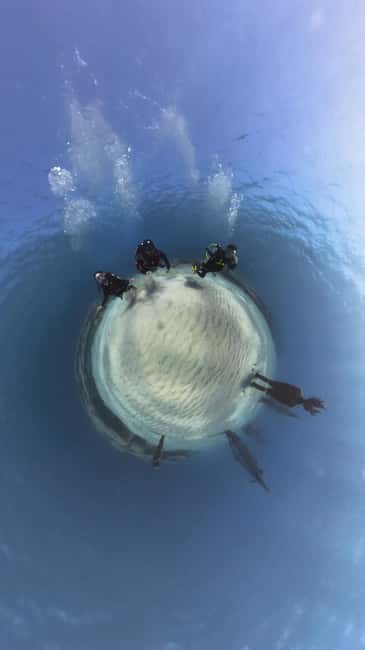 Ayia Napa: Musan Underwater Museum Scuba Dive - Why MUSAN is more than a standard scuba lesson