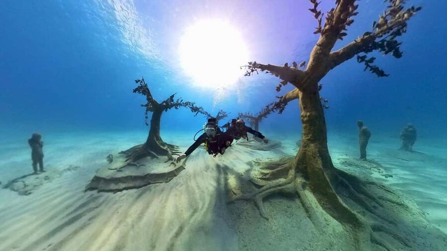 Ayia Napa: Musan Underwater Museum Scuba Dive - Descending into the underwater forest