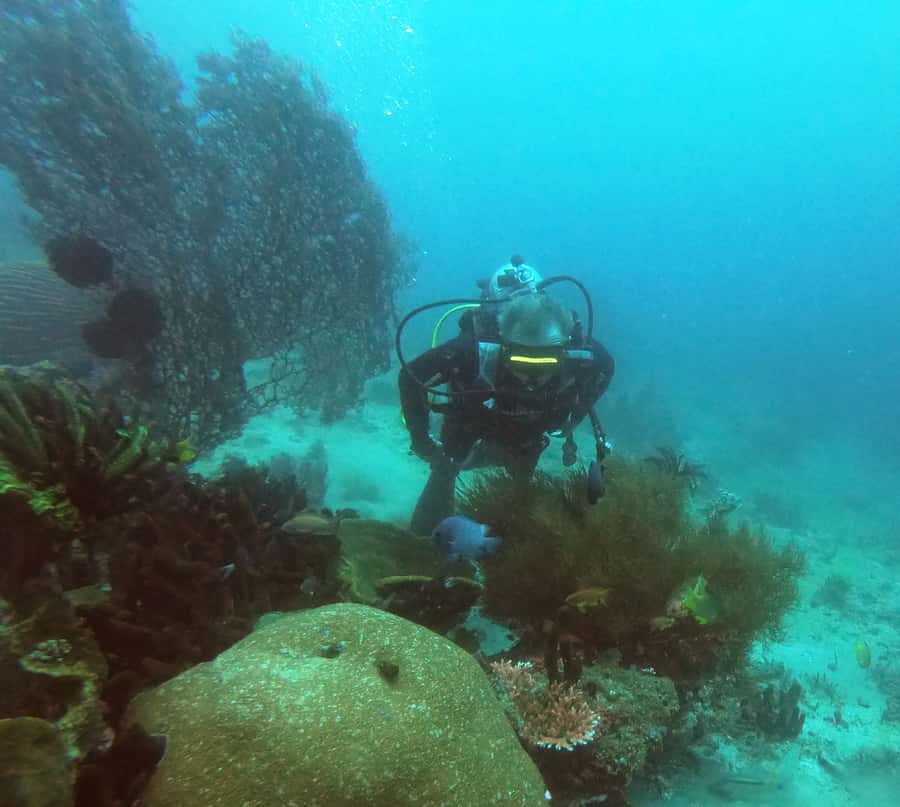 Bali: 2-Day PADI Advanced Open Water Course - Day two and the USAT Liberty