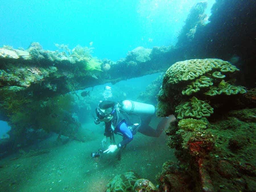 Bali: 2-Day PADI Advanced Open Water Course - What past bookings suggest about the service
