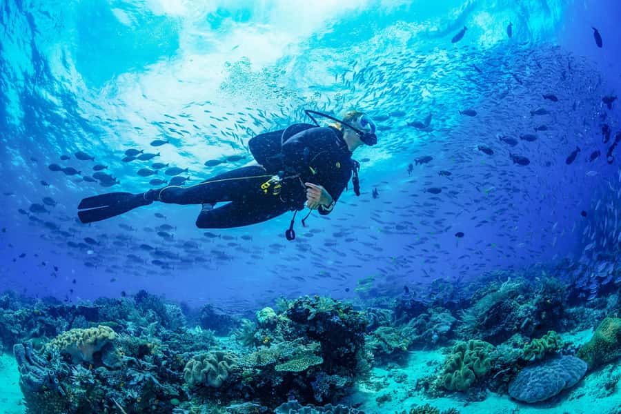 Bali: 3-Days PADI Open Water Diving Course - What $409 buys you in Bali