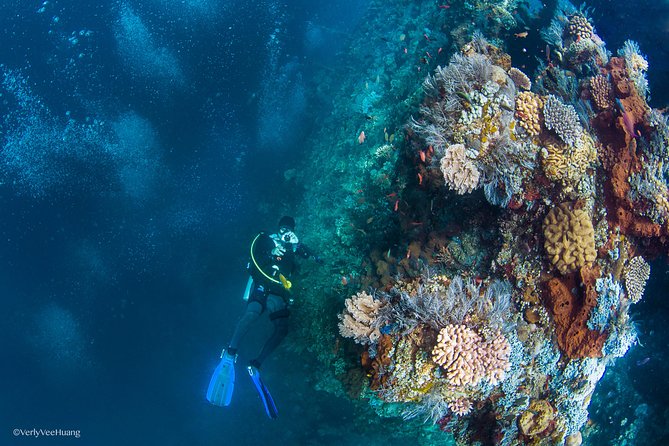 Bali Diving Day Trip-Manta Point/Tulamben Shipwreck-Fun Dive - Equipment, Paperwork, and First Instructions