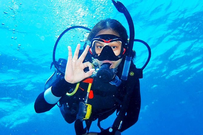 Bali Diving for Beginners: Tulamben Liberty Wreck - Why Tulamben works so well for a first scuba experience