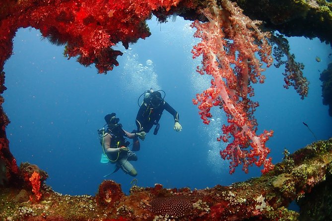 Bali Diving for Beginners: Tulamben Liberty Wreck - What you may see around the Liberty Wreck