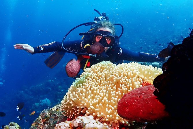 Bali Diving for Beginners: Tulamben Liberty Wreck - Health, fitness, and flight rules
