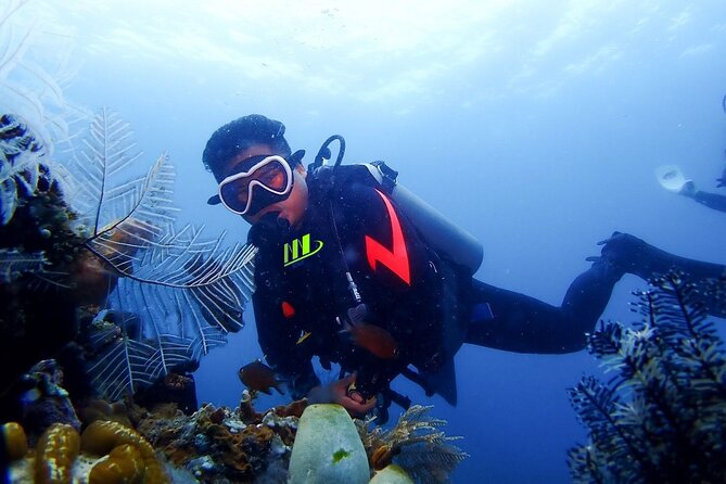 Bali Full Day Experience Scuba Diving Tour at Tulamben - Key points at a glance
