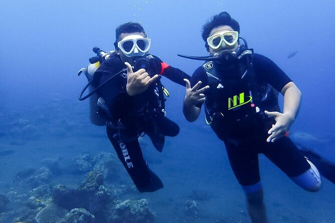Bali Full Day Experience Scuba Diving Tour at Tulamben - What the price includes at $109.10