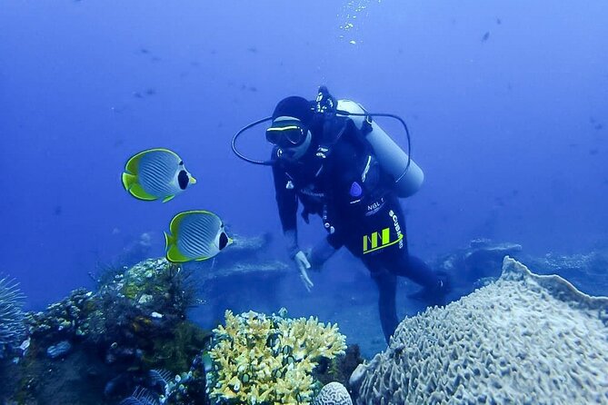 Bali Full Day Experience Scuba Diving Tour at Tulamben - The people shape the experience