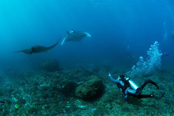 Bali Hai - PADI Advance Open Water Course in Lembongan - Key points to know before booking
