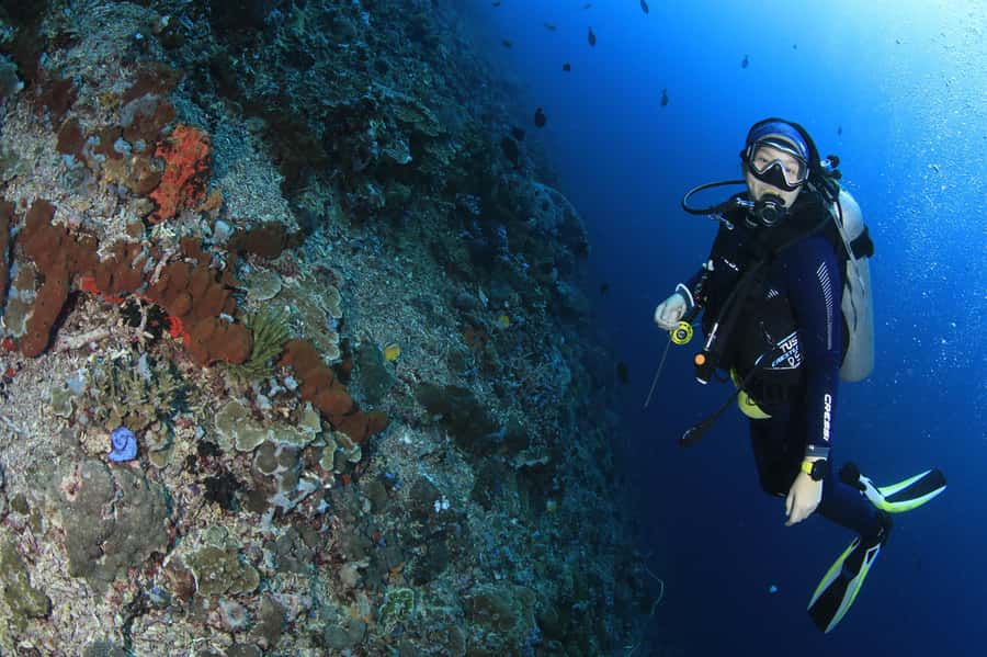 Bali/Nusa Penida: 3 Fun Dives to Manta Point, Mola & Reef - A few smart ways to improve the day