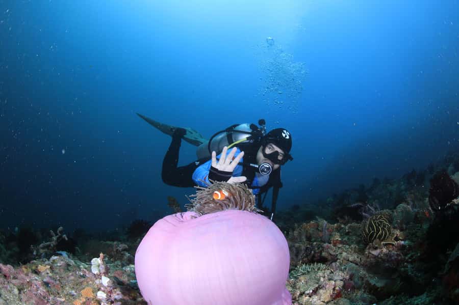 Bali/Nusa Penida: 3 Fun Dives to Manta Point, Mola & Reef - FAQ