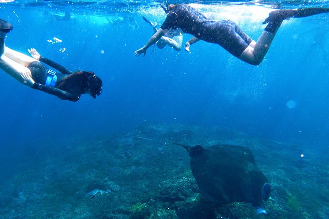 Bali Scuba Diving at Nusa Penida Manta Point For Certified Diver - The third site changes with the sea