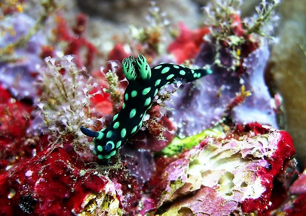 Bali Scuba Diving at Padang Bai for Certified Diver - The drive to Padang Bai at 8:15 a.m.