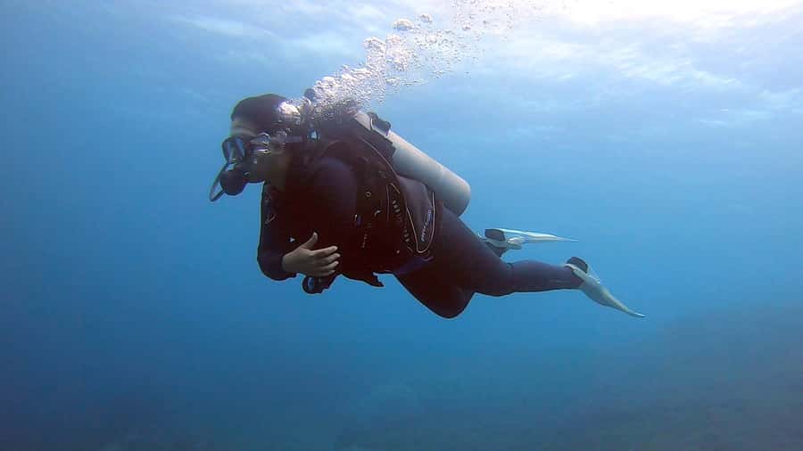 Bali: Try Scuba Diving day trip to Nusa Penida pool+2 dives - Who should book this experience