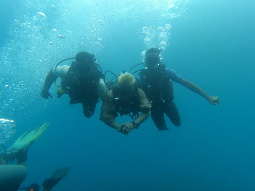 Bali: Try Scuba Diving day trip to Nusa Penida pool+2 dives - Timing, transport, and the long day