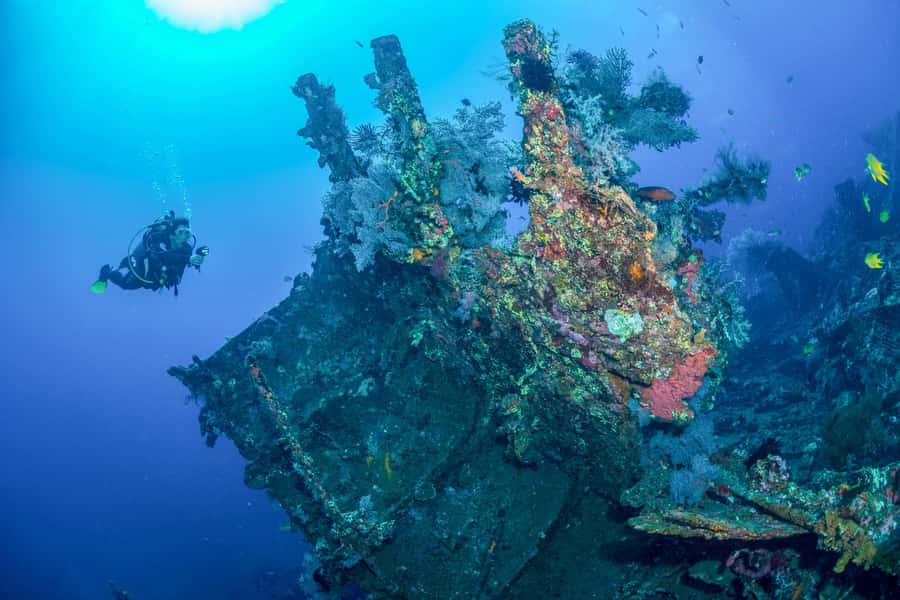 Bali: Tulamben Bay and the USAT Liberty Wreck Dive - What makes this Tulamben outing worth your time
