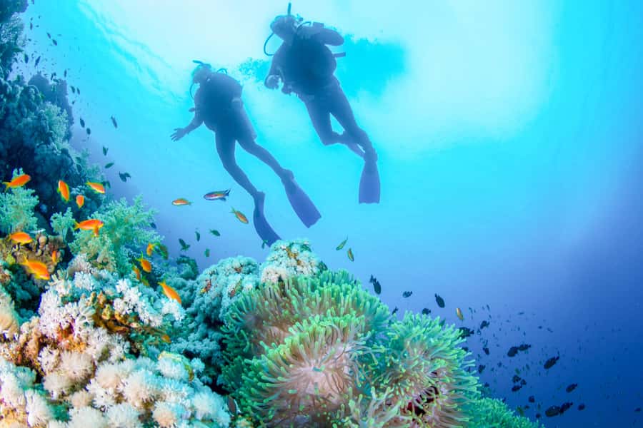 Bali: Tulamben Bay Beginner's Dive Experience - The long road from southern Bali to Tulamben
