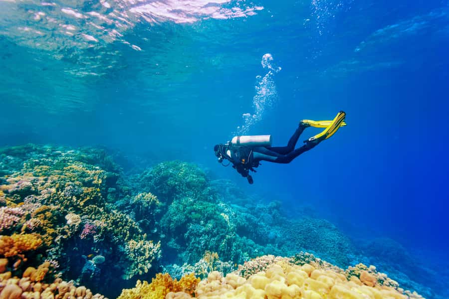 Bali: Tulamben Bay Beginner's Dive Experience - Meeting the instructor and learning the basics