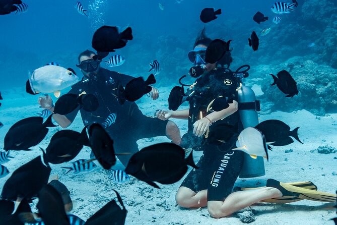 Baptism diving in the turquoise waters of Tahiti - What the price includes in practical terms