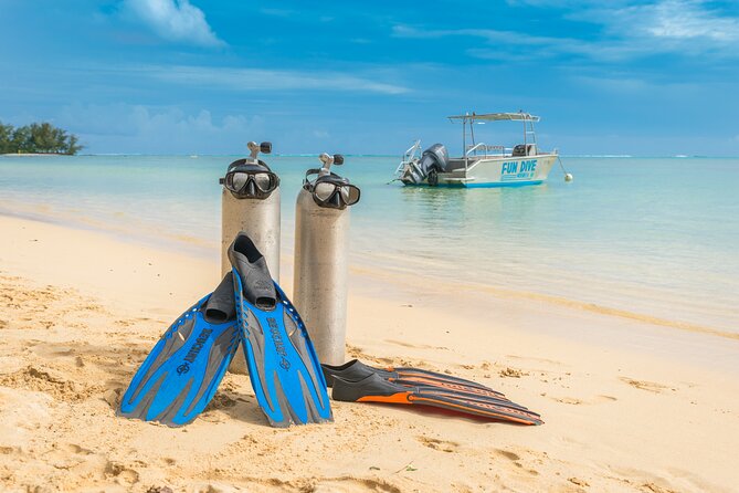 Baptism: introductory dive at Moorea Fun Dive - What Your 2.5-Hour Moorea Session Includes