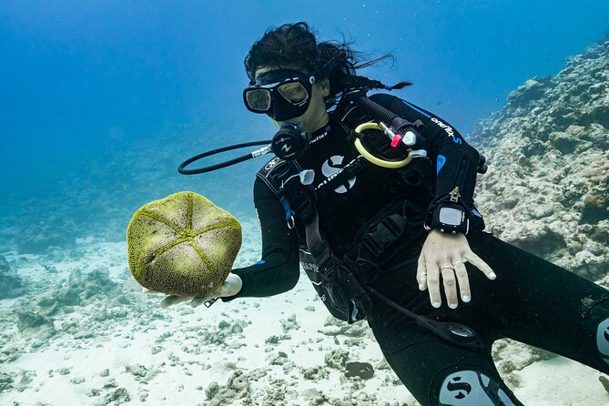 Baptism: introductory dive at Moorea Fun Dive - Is $145.76 a Fair Price?