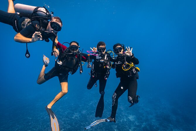 Baptism: introductory dive at Moorea Fun Dive - Timing, Weather, and Cancellation Advice