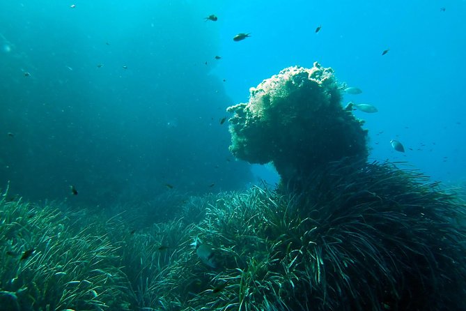 Baptism of diving from boat - The boat ride toward the Tabarca area