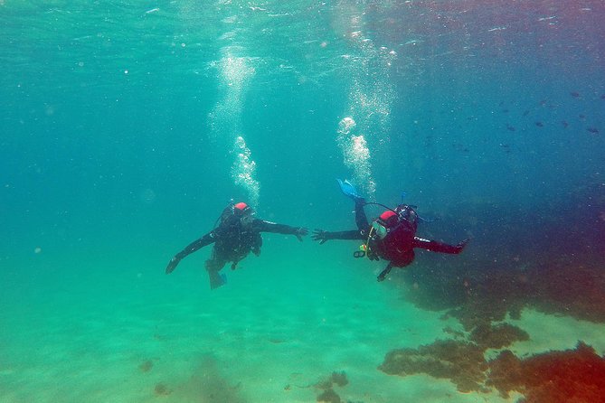 Baptism of diving in the Natural Park of the Strait - Photographs give you a record of the outing