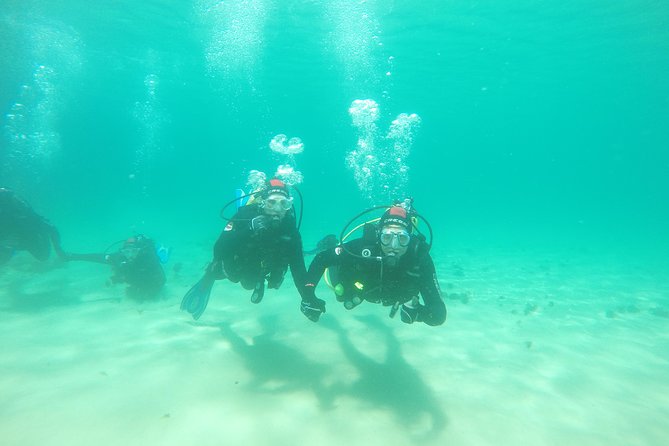 Baptism of diving in the Natural Park of the Strait - The first lesson covers safety before the sea