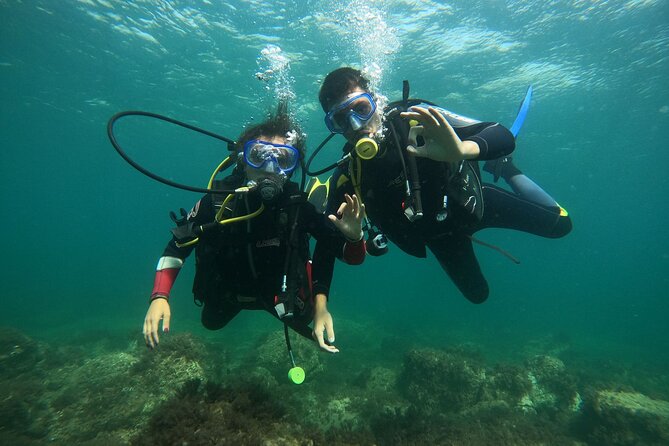 "Baptism of the Sea: Diving on the Island of Elba" - Key points to know before booking