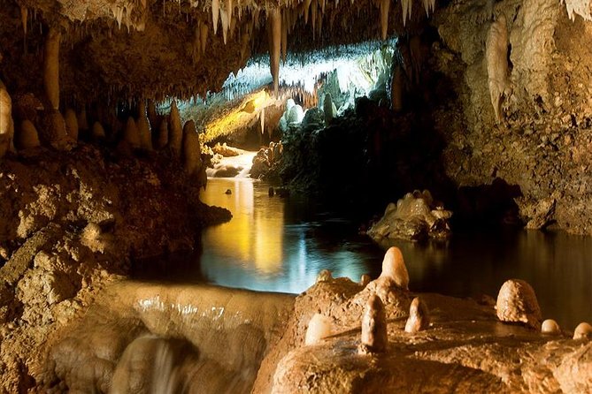 Barbados Harrison's Cave and Atlantis Submarine Dive Tour - Is $260 per person a fair price?