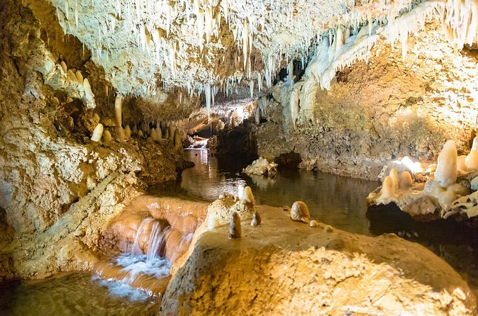 Barbados Harrison's Cave and Atlantis Submarine Dive Tour - Who will enjoy this Barbados tour most?