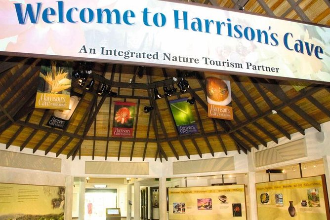 Barbados Harrison's Cave and Atlantis Submarine Dive Tour - How to get the most from the day