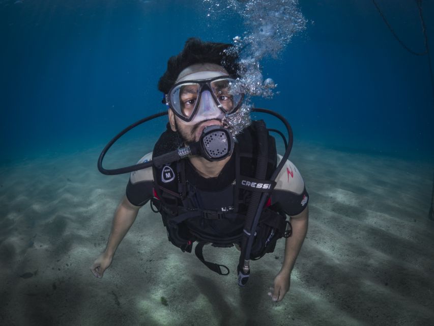 Barcelona: PADI Discover Scuba Diving - What you might see beneath Barcelona