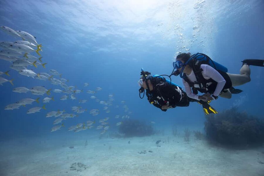 BARCELONA: SCUBA DIVING INITIATION - Dive in and experience underwater adventures - 2 hours - Walking two minutes to the water