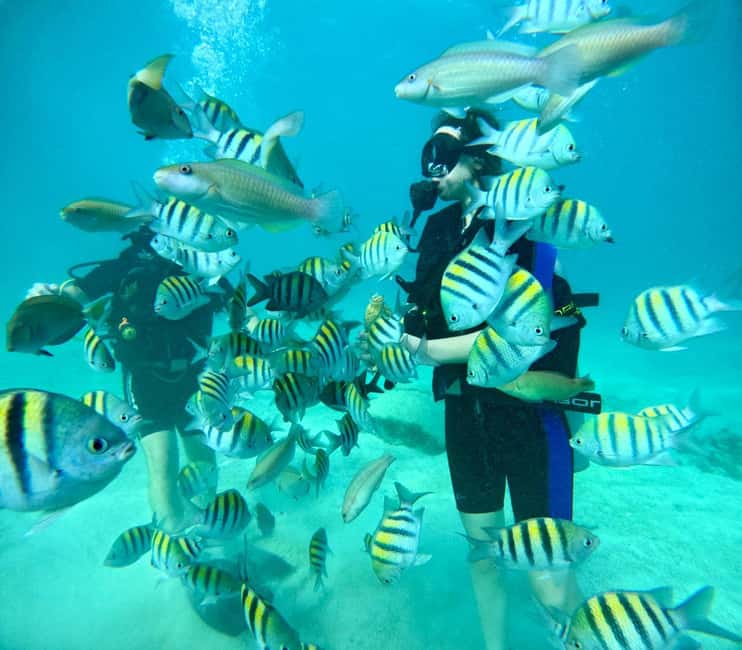 Bávaro: Scuba Diving Experience for Beginners - Key points to know before booking