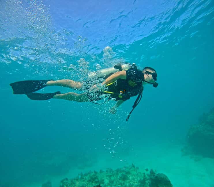 Bávaro: Scuba Diving Experience for Beginners - What the $100 price covers