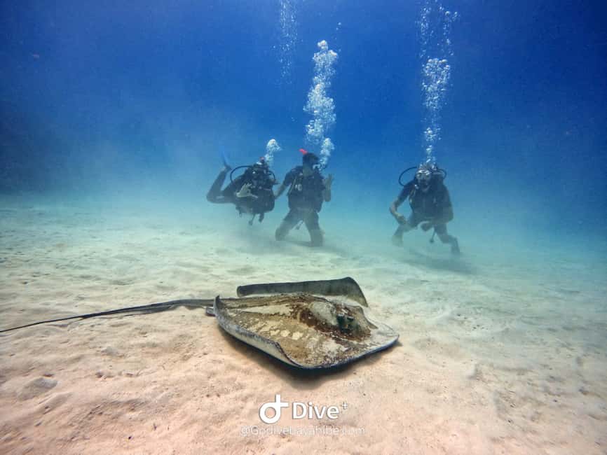 Bayahibe: PADI Open Water Course by Go Dive Bayahibe - Key points at a glance