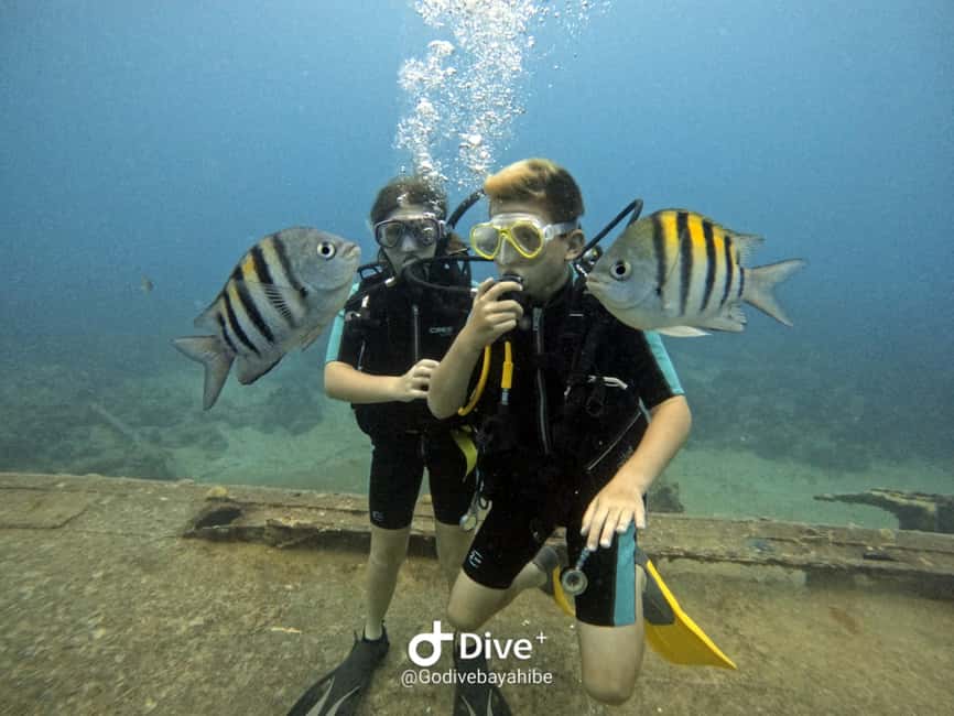 Bayahibe: PADI Open Water Course by Go Dive Bayahibe - What the three-day course really involves