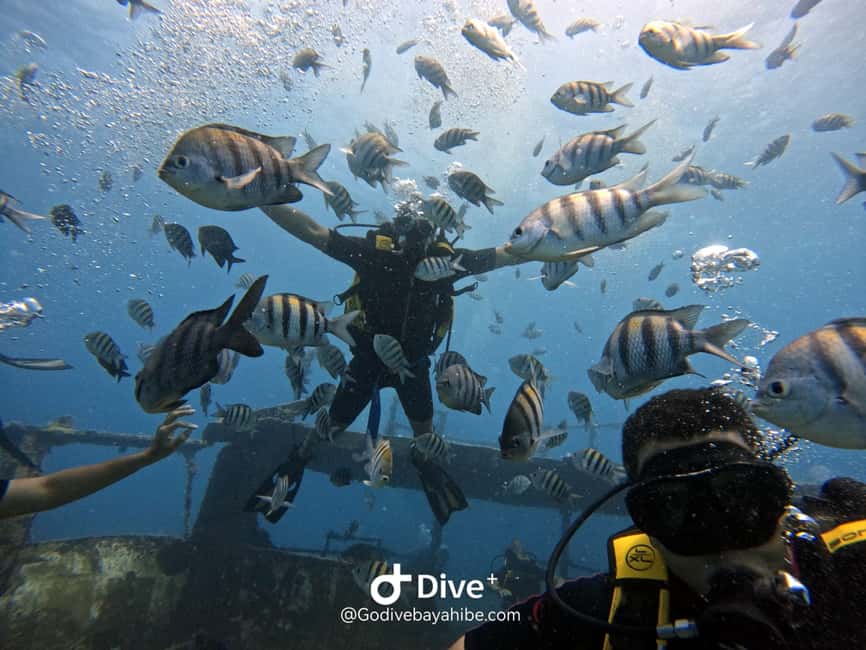 Bayahibe: PADI Open Water Course by Go Dive Bayahibe - What is included, and what is not