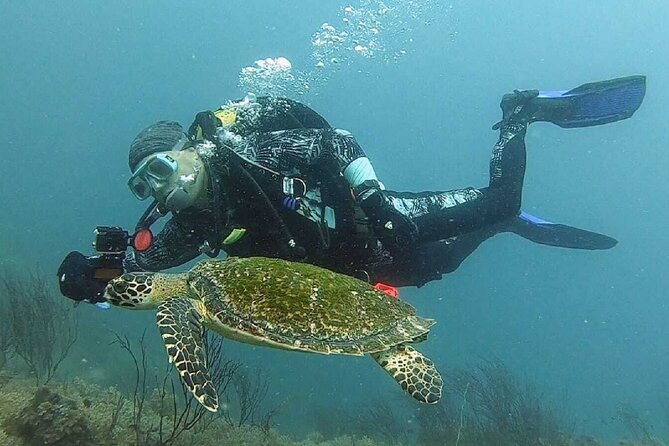 Become certified diver in 3 days - PADI Open Water Diver course on Koh Tao - Day two: two open-water sessions at 12 meters