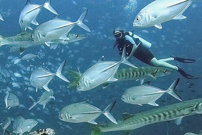 Become certified diver in 3 days - PADI Open Water Diver course on Koh Tao - Timing, group size, and the practical details