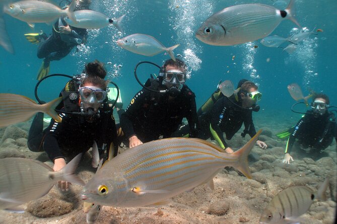 Beginner dive from Playa Chica with Instructor - Getting fitted with a wetsuit and full scuba equipment