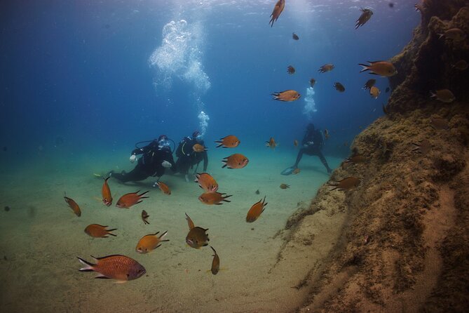 Beginner dive from Playa Chica with Instructor - The 15-minute briefing before the water