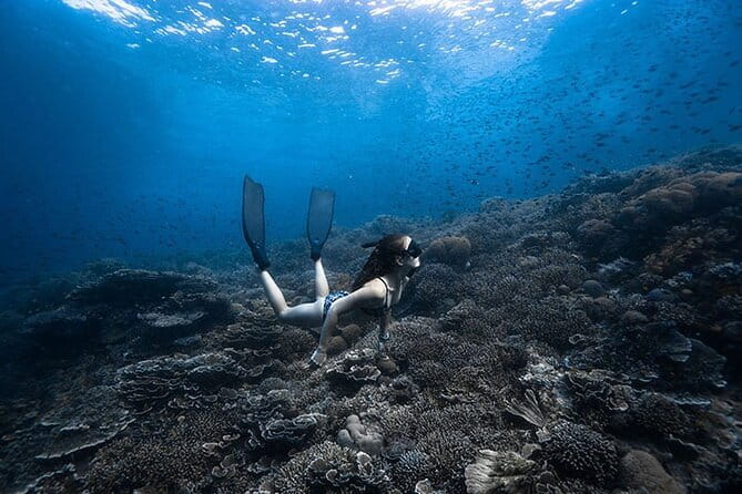 Beginner Freediving Course (with Bonus Session) - What makes this Panglao course worth your time