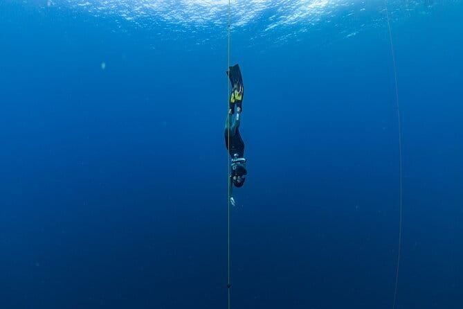 Beginner Freediving Course (with Bonus Session) - Why freediving in Panglao feels different